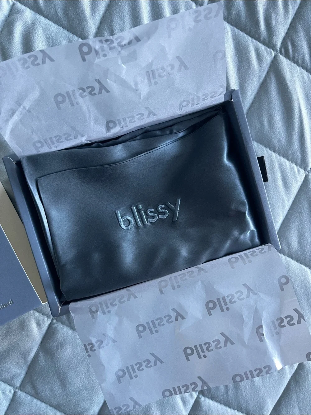 NWT Blissy Silk Pillowcase